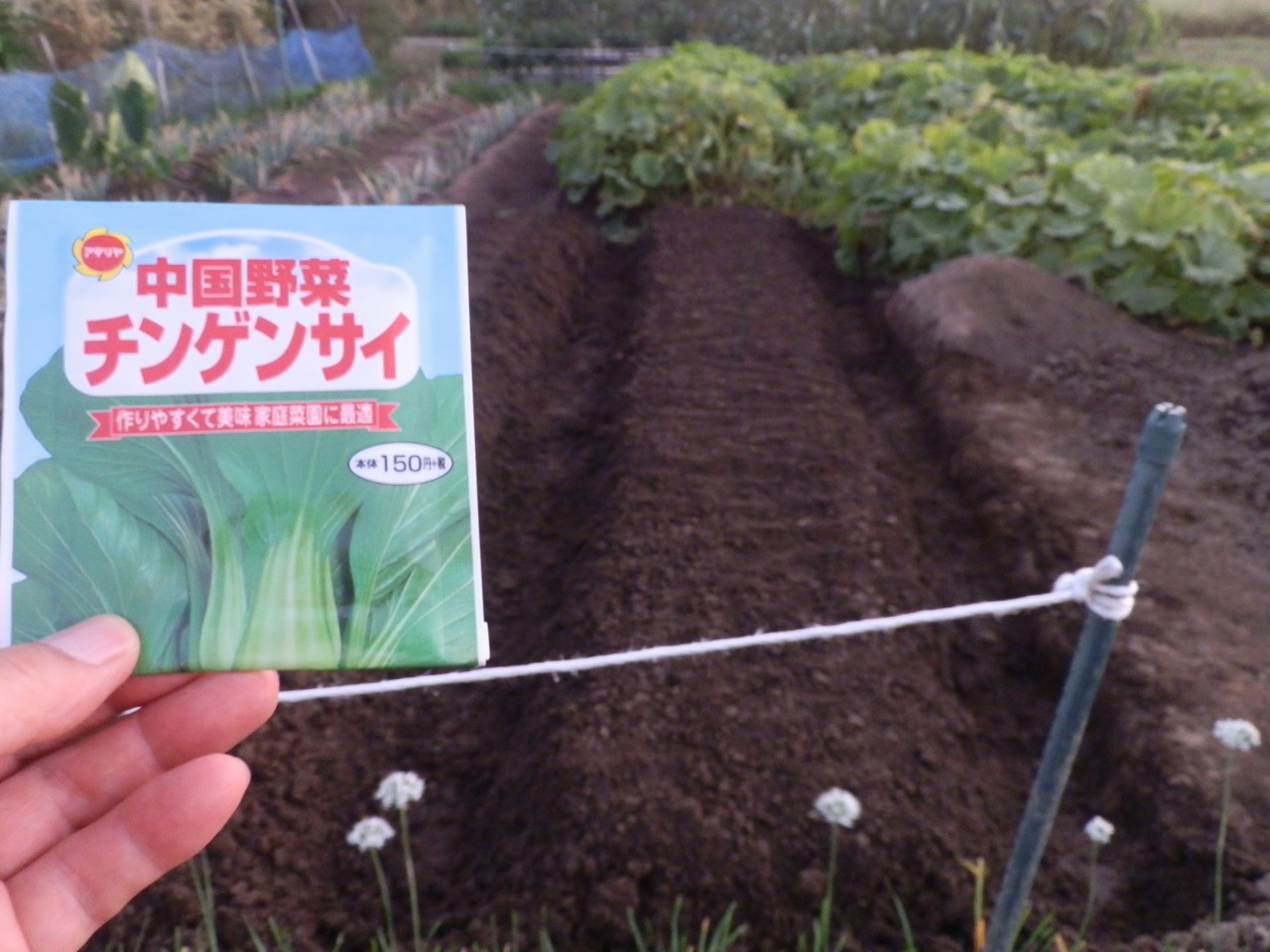 無農薬の野菜づくりは 難しい