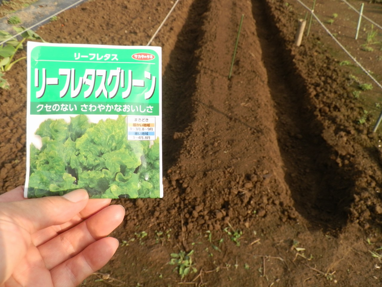 無農薬の野菜づくりは 難しい