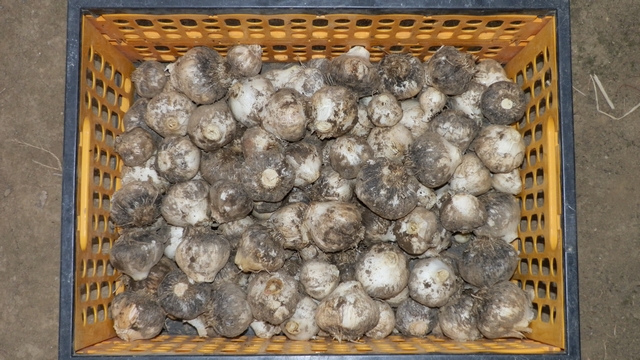 ファイル 409-2.jpg