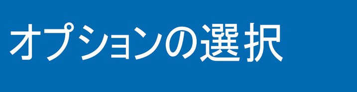 オプションの選択