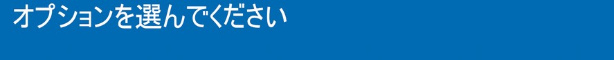 オプションを選んで下さい