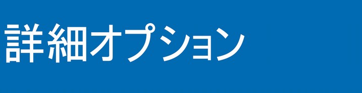 詳細オプション